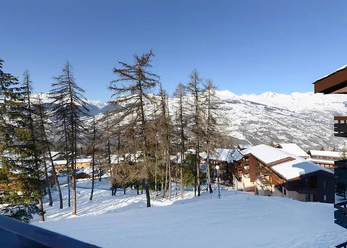 Lumineux Rénové - Proche Des Pistes, Animaux Admis - Fr-1-181-919 *